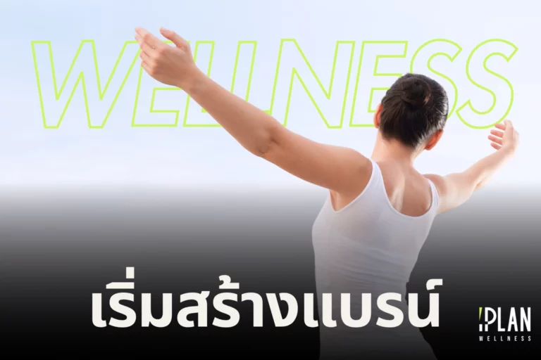 Start Wellness