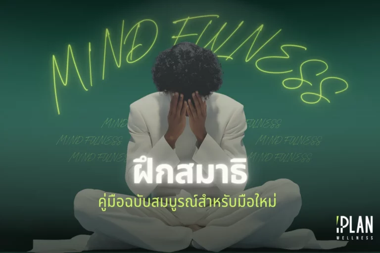 เริ่มต้นฝึกสมาธิ (Mindfulness) คู่มือฉบับสมบูรณ์สำหรับมือใหม่