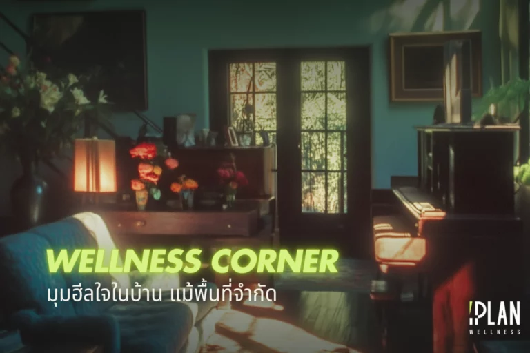 5 ไอเดียจัด Wellness Corner มุมฮีลใจในบ้าน แม้พื้นที่จำกัด