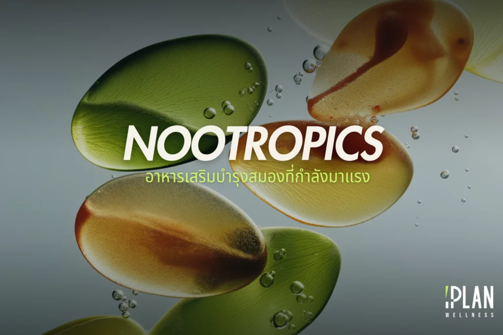 Nootropics คืออะไร? รู้จักอาหารเสริมบำรุงสมองที่กำลังมาแรง