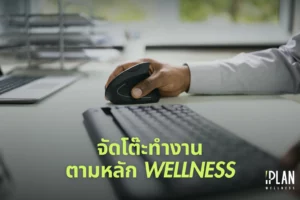 จัดโต๊ะทำงานตามหลัก Wellness สุขภาพดี เพิ่ม Productivity