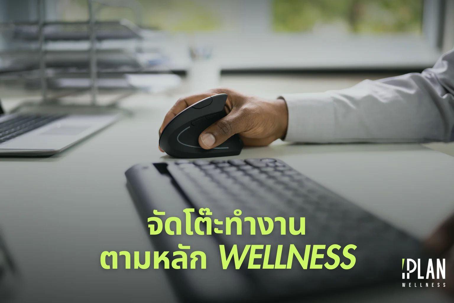 จัดโต๊ะทำงานตามหลัก Wellness สุขภาพดี เพิ่ม Productivity