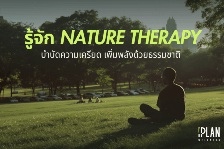 รู้จัก 'Nature Therapy' ให้ธรรมชาติบำบัดความเครียด เพิ่มพลังชีวิต