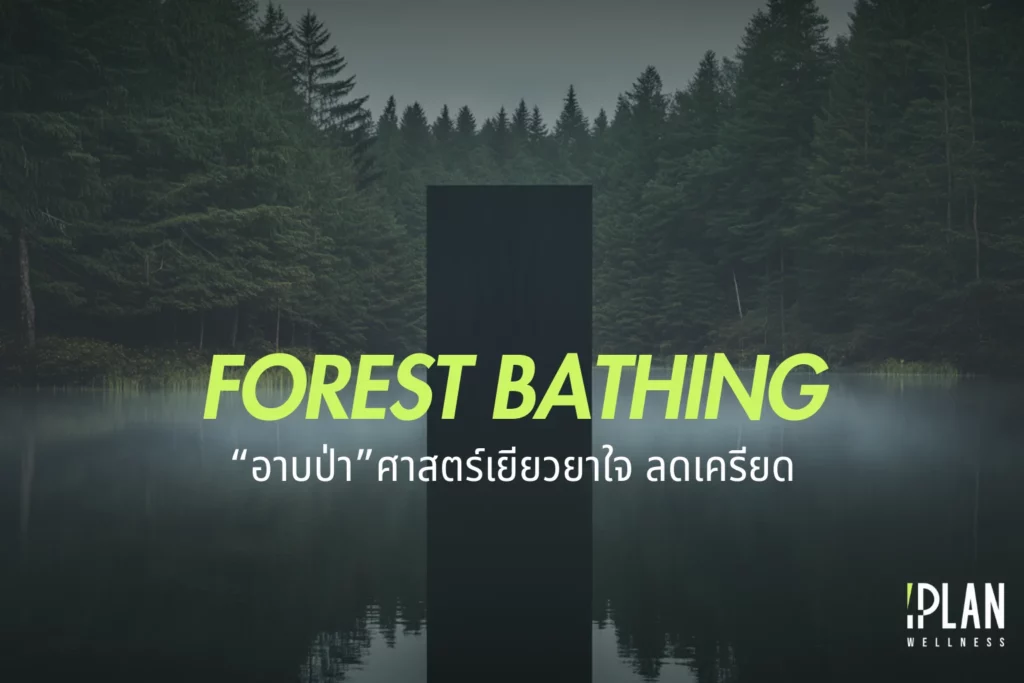 อาบป่า (Forest Bathing) ศาสตร์เยียวยาใจและลดเครียดจากญี่ปุ่น
