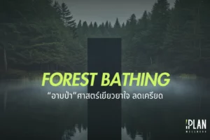 อาบป่า (Forest Bathing) ศาสตร์เยียวยาใจและลดเครียดจากญี่ปุ่น