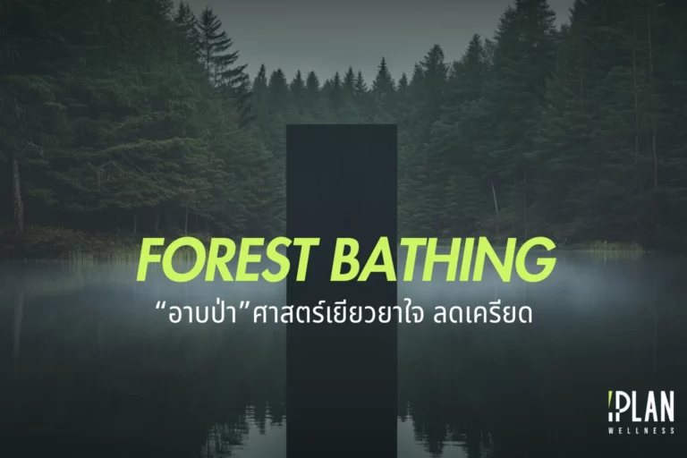อาบป่า (Forest Bathing) ศาสตร์เยียวยาใจและลดเครียดจากญี่ปุ่น