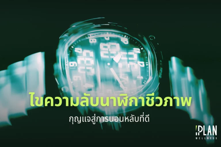 ไขความลับนาฬิกาชีวภาพ กุญแจสู่การนอนหลับที่ดี