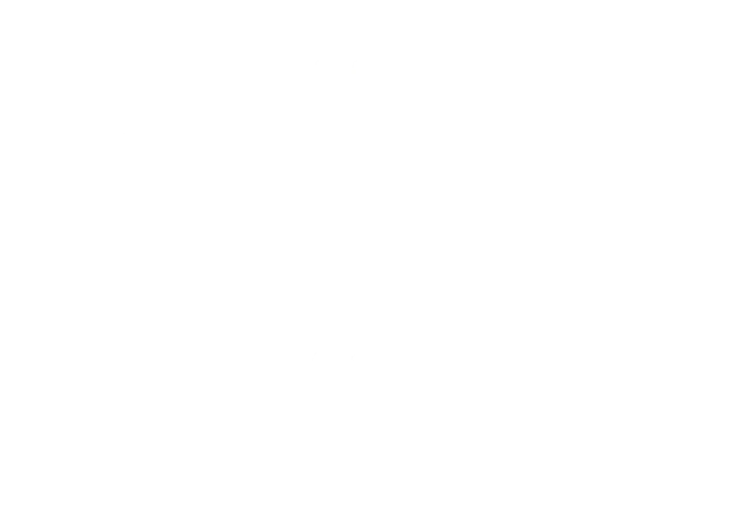 FOLLIZIN LOGO WHITE scaled 1