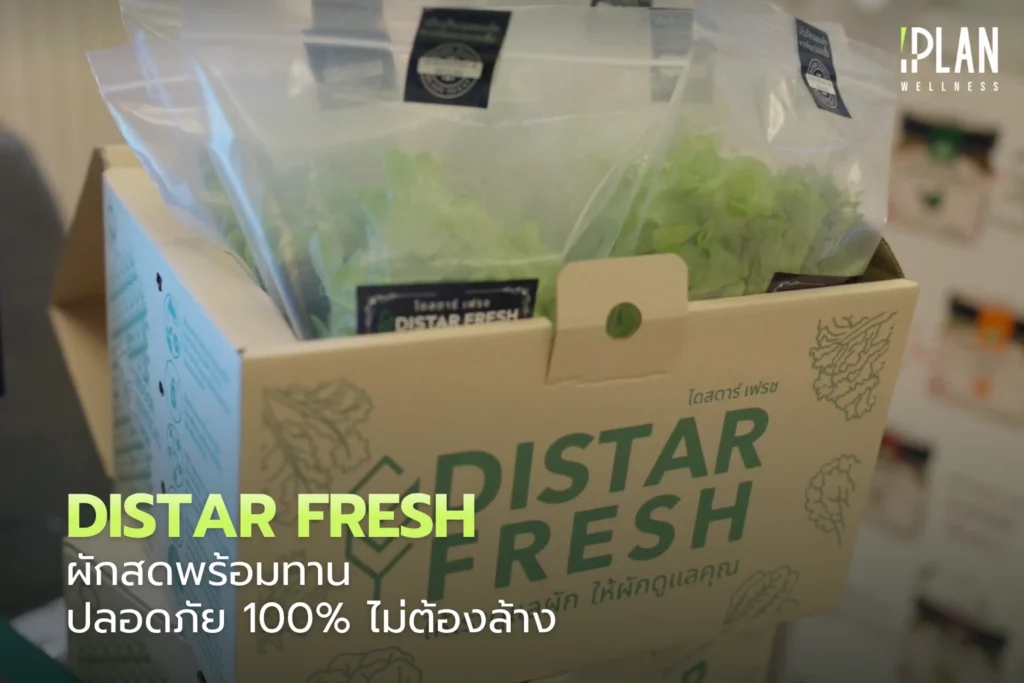 DISTAR FRESH ผักสดพร้อมทาน ปลอดภัย 100% ไม่ต้องล้าง