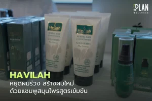 Havilah หยุดผมร่วงสร้างผมใหม่ ด้วยแชมพูสมุนไพร