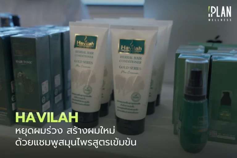 Havilah หยุดผมร่วง สร้างผมใหม่ ด้วยแชมพูสมุนไพรสูตรเข้มข้น 4 Havilah หยุดผมร่วงสร้างผมใหม่ ด้วยแชมพูสมุนไพร