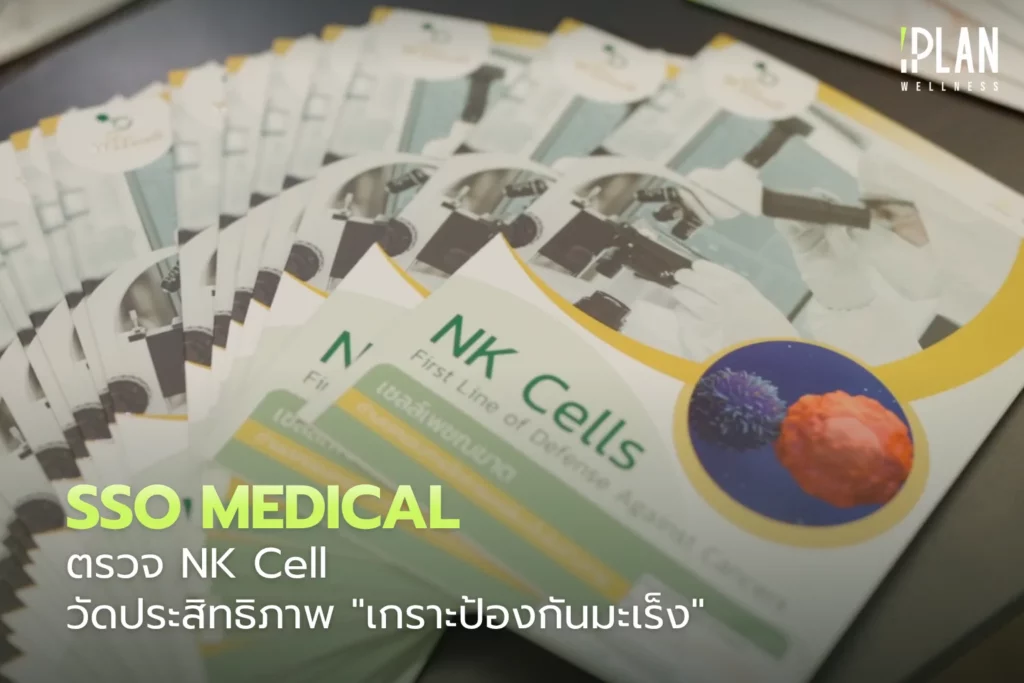 SSO MEDICAL ตรวจ NK Cell วัดประสิทธิภาพ "เกราะป้องกันมะเร็ง" 1 SSO MEDICAL ตรวจ NK Cell วัดประสิทธิภาพ เกราะป้องกันมะเร็ง