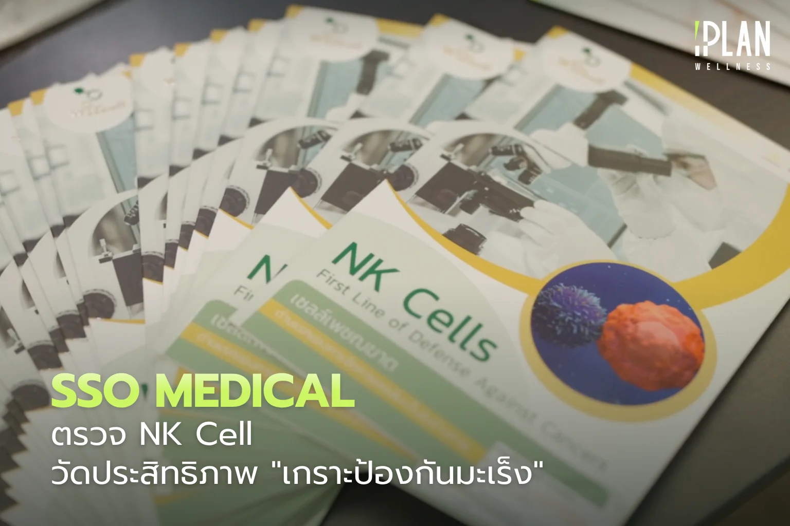 SSO MEDICAL ตรวจ NK Cell วัดประสิทธิภาพ เกราะป้องกันมะเร็ง