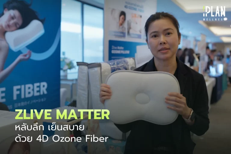Zlive Matter หลับลึก เย็นสบาย ด้วย 4D Ozone Fiber 5 Zlive Matter หลับลึก เย็นสบาย ด้วย 4D Ozone Fiber
