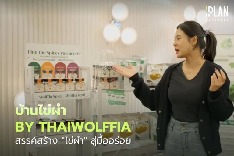 บ้านไข่ผำ by ThaiWolffia สรรค์สร้าง ไข่ผำ สู่มื้ออร่อย