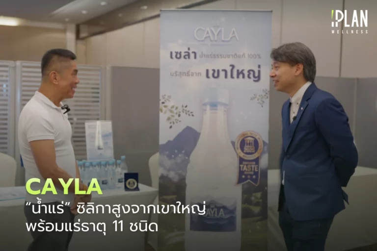 CAYLA "น้ำแร่" ซิลิกาสูงจากเขาใหญ่ พร้อมแร่ธาตุ 11 ชนิด 7 CAYLA น้ำแร่ ซิลิกาสูงจากเขาใหญ่ พร้อมแร่ธาตุ 11 ชนิด