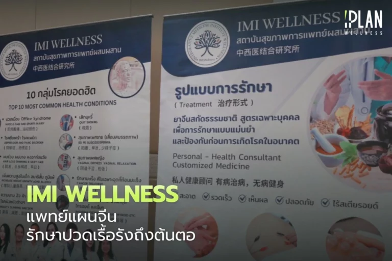 IMI Wellness แพทย์แผนจีน รักษาปวดเรื้อรังถึงต้นตอ 5 IMI Wellness_แพทย์แผนจีน รักษาปวดเรื้อรังถึงต้นตอ