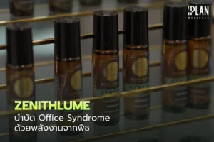 ZENITHLUME_บำบัด Office Syndrome ด้วยพลังงานจากพืช