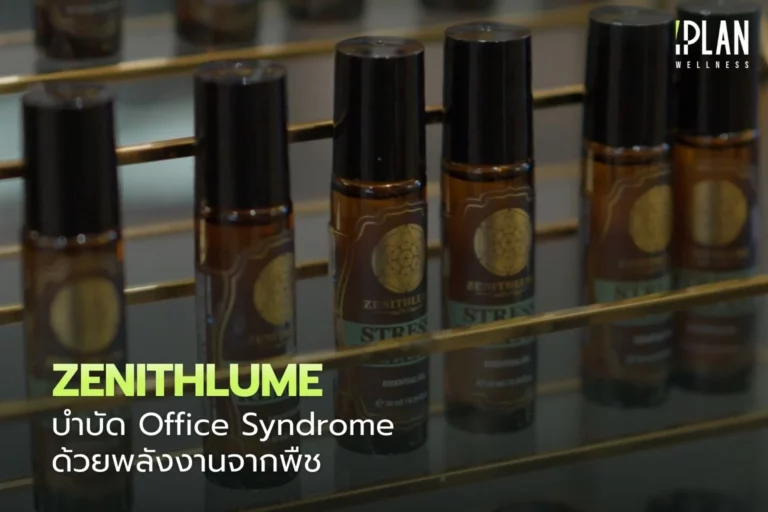 ZENITHLUME บำบัด Office Syndrome ด้วยพลังงานจากพืช 7 ZENITHLUME_บำบัด Office Syndrome ด้วยพลังงานจากพืช