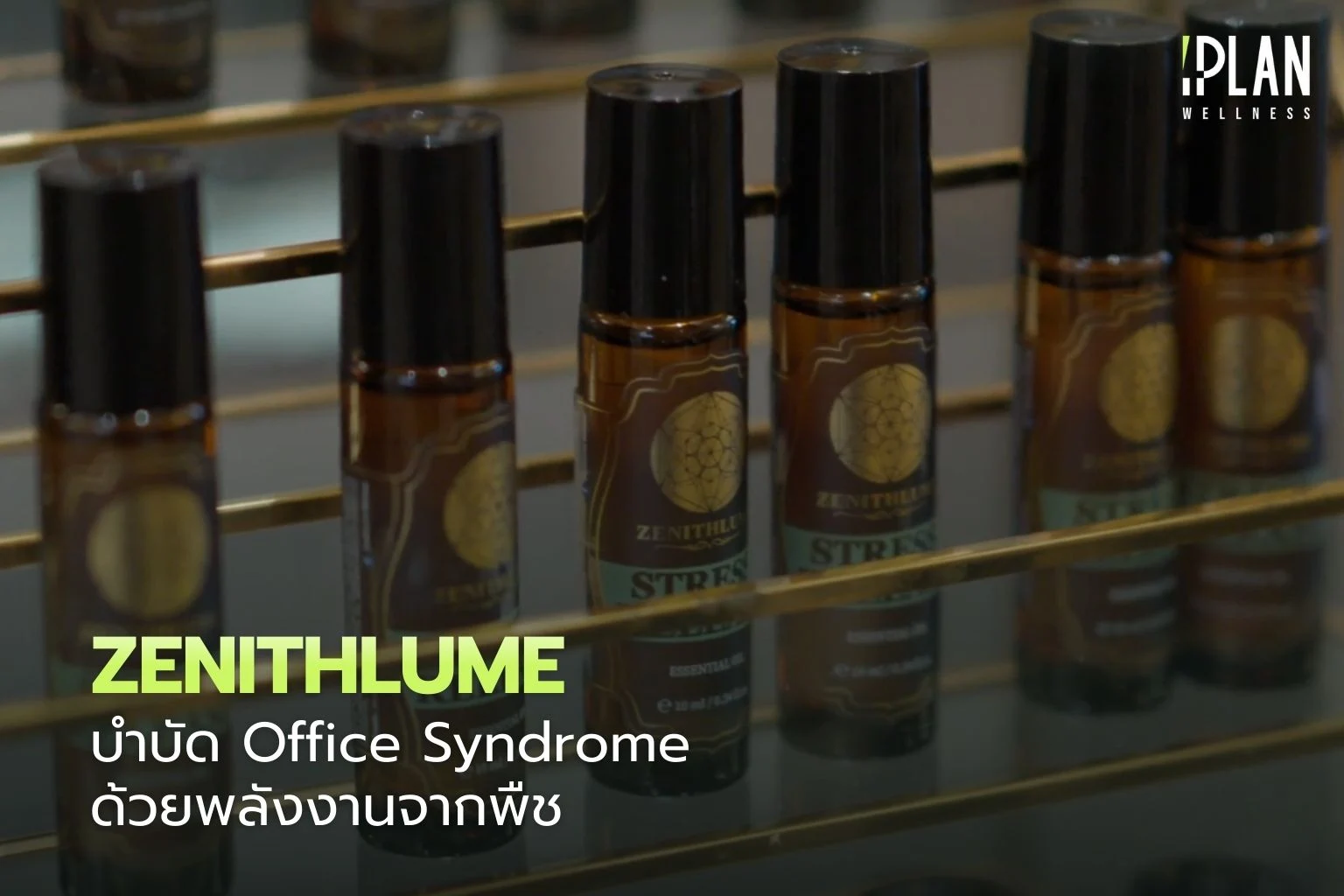 ZENITHLUME บำบัด Office Syndrome ด้วยพลังงานจากพืช 1 ZENITHLUME_บำบัด Office Syndrome ด้วยพลังงานจากพืช